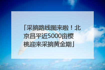 采摘路线图来啦！北京昌平近5000亩樱桃迎来采摘黄金期