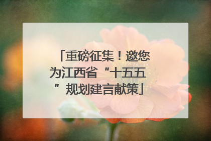 重磅征集！邀您为江西省“十五五”规划建言献策