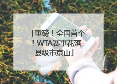 重磅！全国首个！WTA赛事花落县级市京山