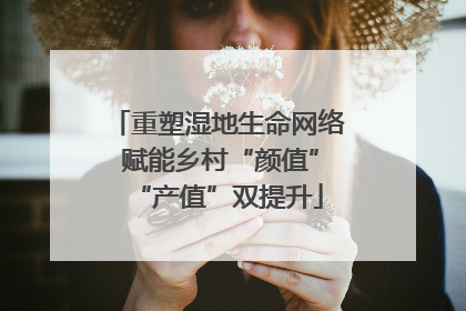 重塑湿地生命网络 赋能乡村“颜值”“产值”双提升