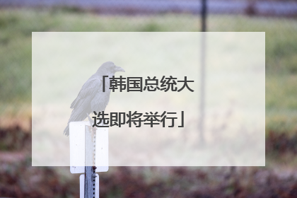 韩国总统大选即将举行