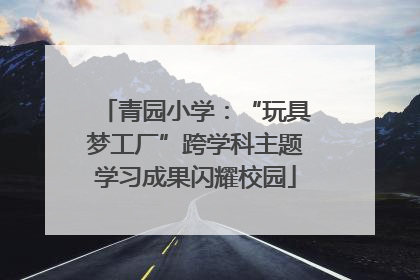 青园小学：“玩具梦工厂”跨学科主题学习成果闪耀校园