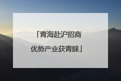 青海赴沪招商 优势产业获青睐