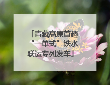 青藏高原首趟“一单式”铁水联运专列发车