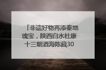 非遗好物再添秦地瑰宝，陕西白水杜康十三朝酒海陈藏30年别具一格
