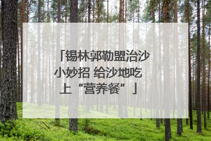 锡林郭勒盟治沙小妙招 给沙地吃上“营养餐”