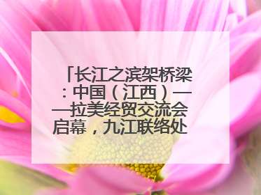 长江之滨架桥梁：中国（江西）——拉美经贸交流会启幕，九江联络处授牌拓商机