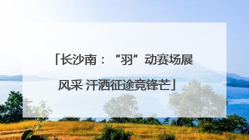 长沙南：“羽”动赛场展风采 汗洒征途竞锋芒