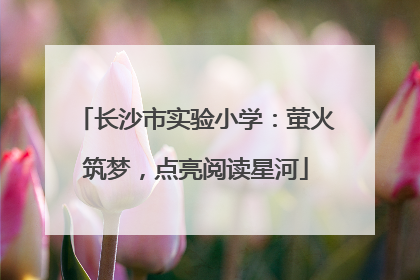 长沙市实验小学：萤火筑梦，点亮阅读星河