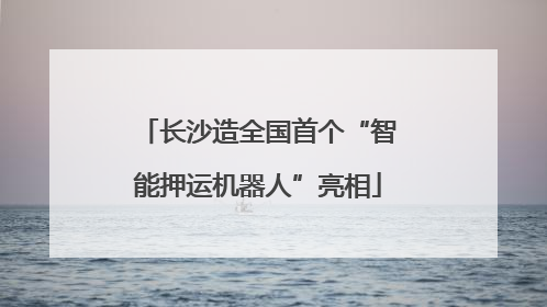 长沙造全国首个“智能押运机器人”亮相