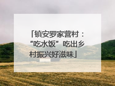 镇安罗家营村：“吃水饭”吃出乡村振兴好滋味