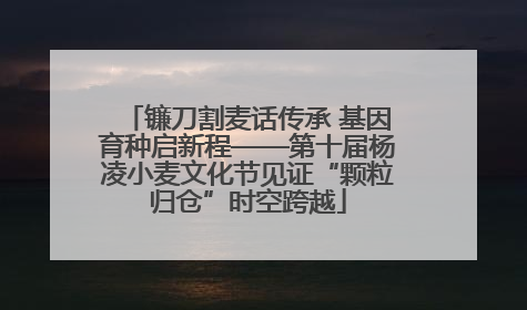 镰刀割麦话传承 基因育种启新程——第十届杨凌小麦文化节见证“颗粒归仓”时空跨越