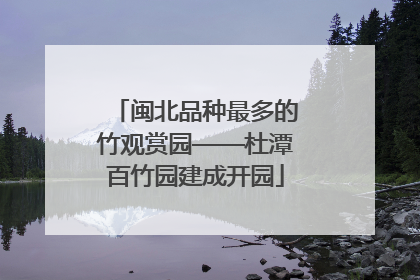闽北品种最多的竹观赏园——杜潭百竹园建成开园