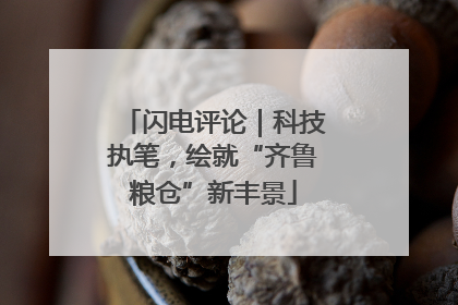 闪电评论｜科技执笔，绘就“齐鲁粮仓”新丰景