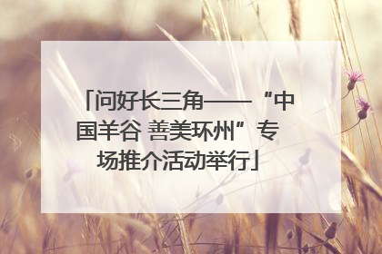 问好长三角——“中国羊谷 善美环州”专场推介活动举行