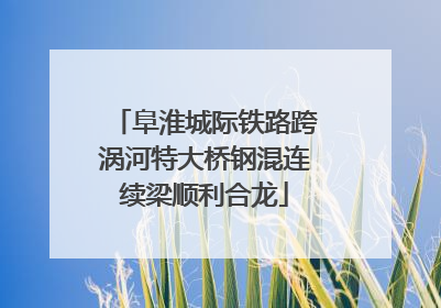 阜淮城际铁路跨涡河特大桥钢混连续梁顺利合龙