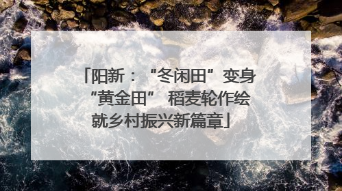 阳新：“冬闲田”变身“黄金田” 稻麦轮作绘就乡村振兴新篇章