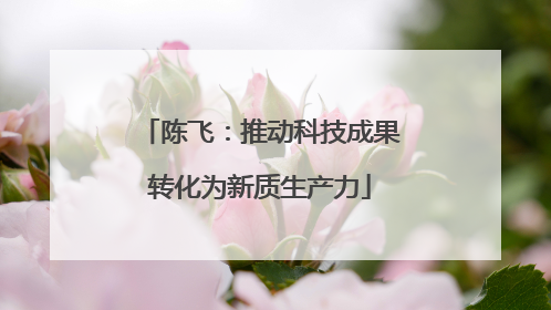 陈飞：推动科技成果转化为新质生产力