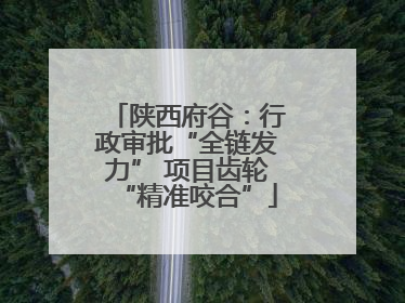 陕西府谷：行政审批“全链发力” 项目齿轮“精准咬合”
