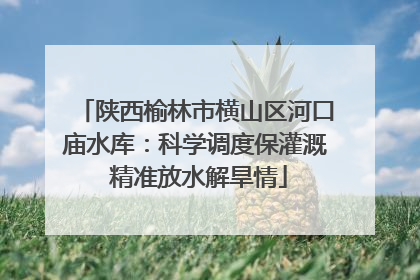 陕西榆林市横山区河口庙水库：科学调度保灌溉 精准放水解旱情