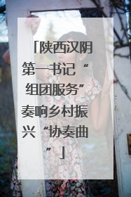 陕西汉阴第一书记“组团服务”奏响乡村振兴“协奏曲”