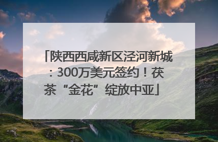 陕西西咸新区泾河新城：300万美元签约！茯茶“金花”绽放中亚