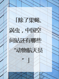 除了果蝇、涡虫，中国空间站还有哪些“动物航天员”