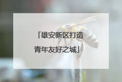 雄安新区打造青年友好之城