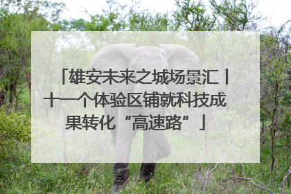 雄安未来之城场景汇丨十一个体验区铺就科技成果转化“高速路”