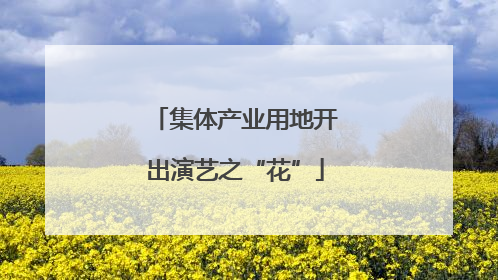 集体产业用地开出演艺之“花”