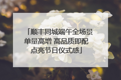 顺丰同城端午全场景单量高增 高品质即配点亮节日仪式感