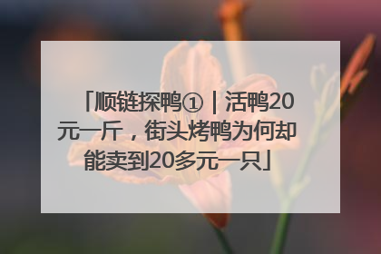 顺链探鸭①｜活鸭20元一斤，街头烤鸭为何却能卖到20多元一只