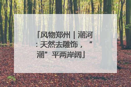 风物郑州｜潮河：天然去雕饰，“潮”平两岸阔