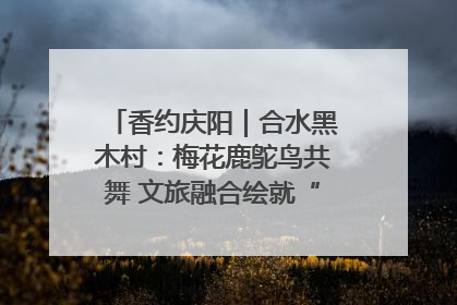 香约庆阳｜合水黑木村：梅花鹿鸵鸟共舞 文旅融合绘就“诗与远方”