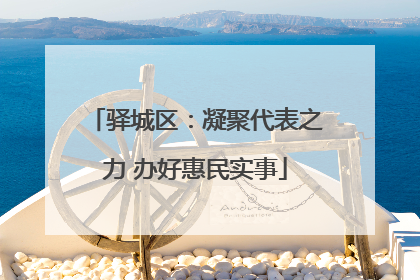 驿城区：凝聚代表之力 办好惠民实事
