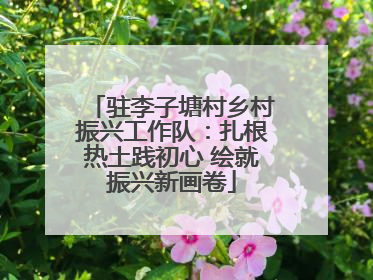 驻李子塘村乡村振兴工作队：扎根热土践初心 绘就振兴新画卷