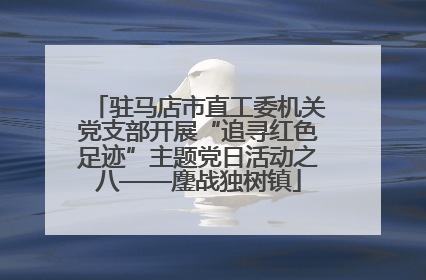驻马店市直工委机关党支部开展“追寻红色足迹”主题党日活动之八——鏖战独树镇