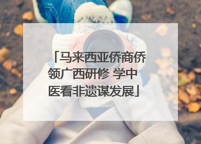 马来西亚侨商侨领广西研修 学中医看非遗谋发展