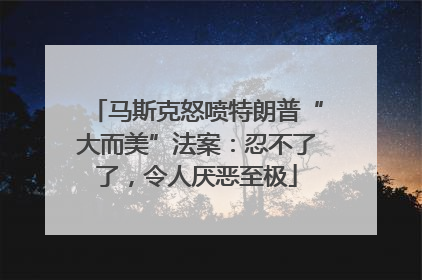 马斯克怒喷特朗普“大而美”法案：忍不了了，令人厌恶至极