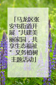 马龙区张安屯街道开展“共建美丽家园，共享生态福祉”义务植树主题活动