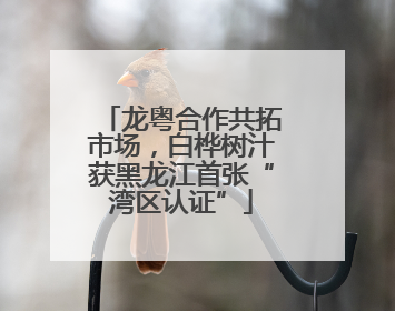 龙粤合作共拓市场，白桦树汁获黑龙江首张“湾区认证”