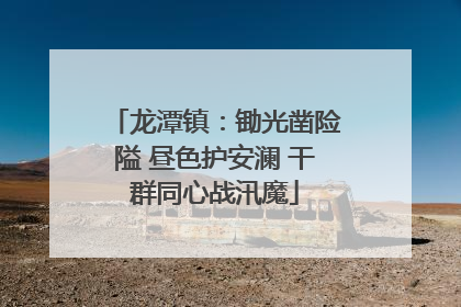 龙潭镇：锄光凿险隘 昼色护安澜 干群同心战汛魔