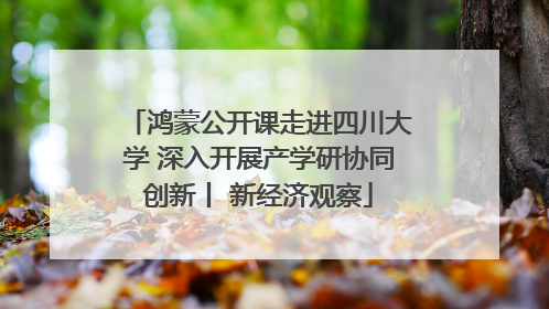 鸿蒙公开课走进四川大学 深入开展产学研协同创新丨 新经济观察