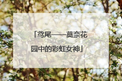 鸢尾——莫奈花园中的彩虹女神