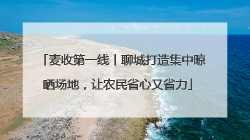 麦收第一线丨聊城打造集中晾晒场地，让农民省心又省力