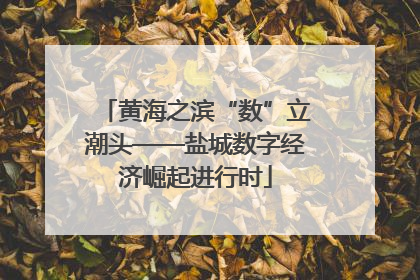 黄海之滨“数”立潮头——盐城数字经济崛起进行时