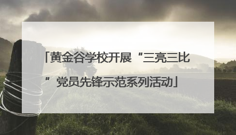 黄金谷学校开展“三亮三比”党员先锋示范系列活动