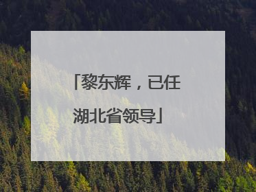 黎东辉，已任湖北省领导