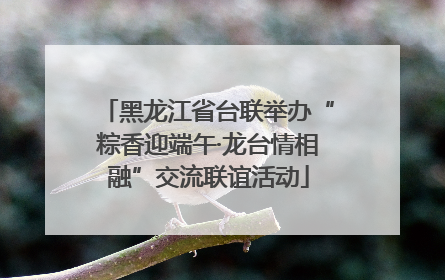 黑龙江省台联举办“粽香迎端午·龙台情相融”交流联谊活动
