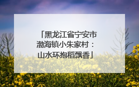 黑龙江省宁安市渤海镇小朱家村：山水环抱稻飘香